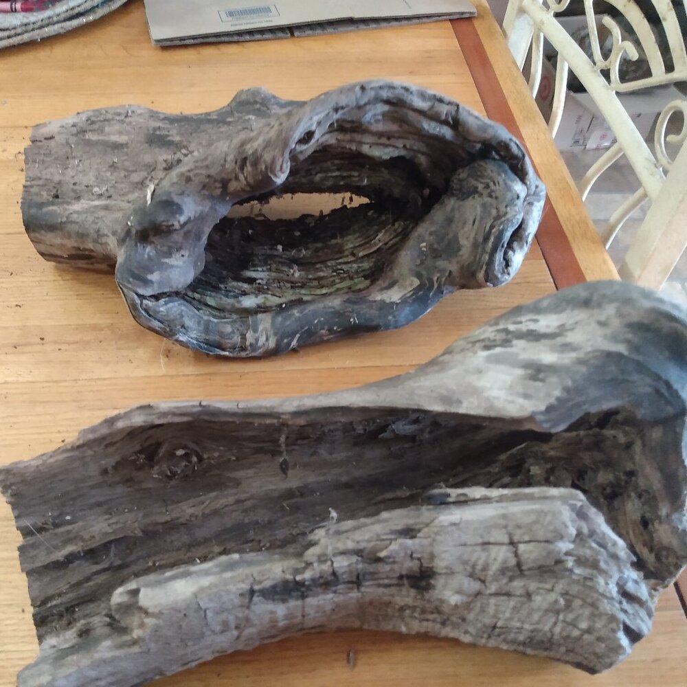 Natural Wood Driftwood Creek Wood Rustic Decor Taxidermy Display Art Garden